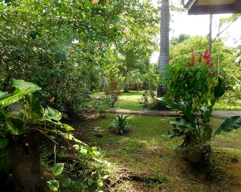 קאוויטה Green Corner מראה חיצוני תמונה
